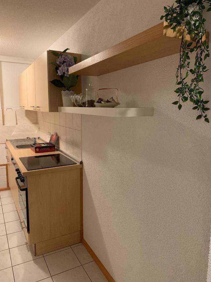 Holiday Home Nahe Europapark Lahr  Exterior photo